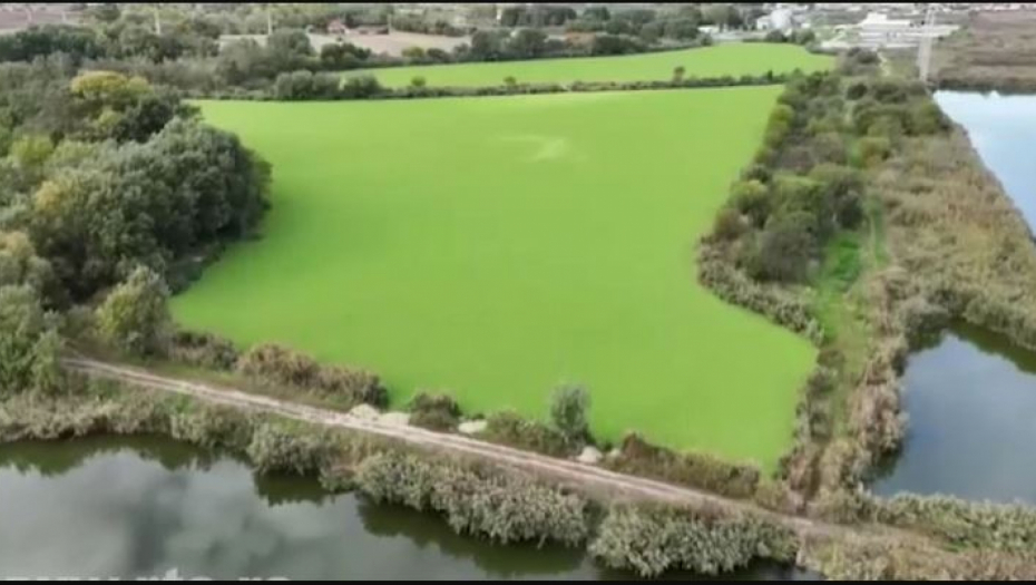 Palićko jezero