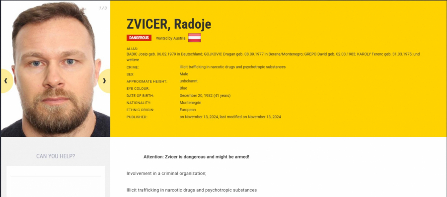 radoje zvicer