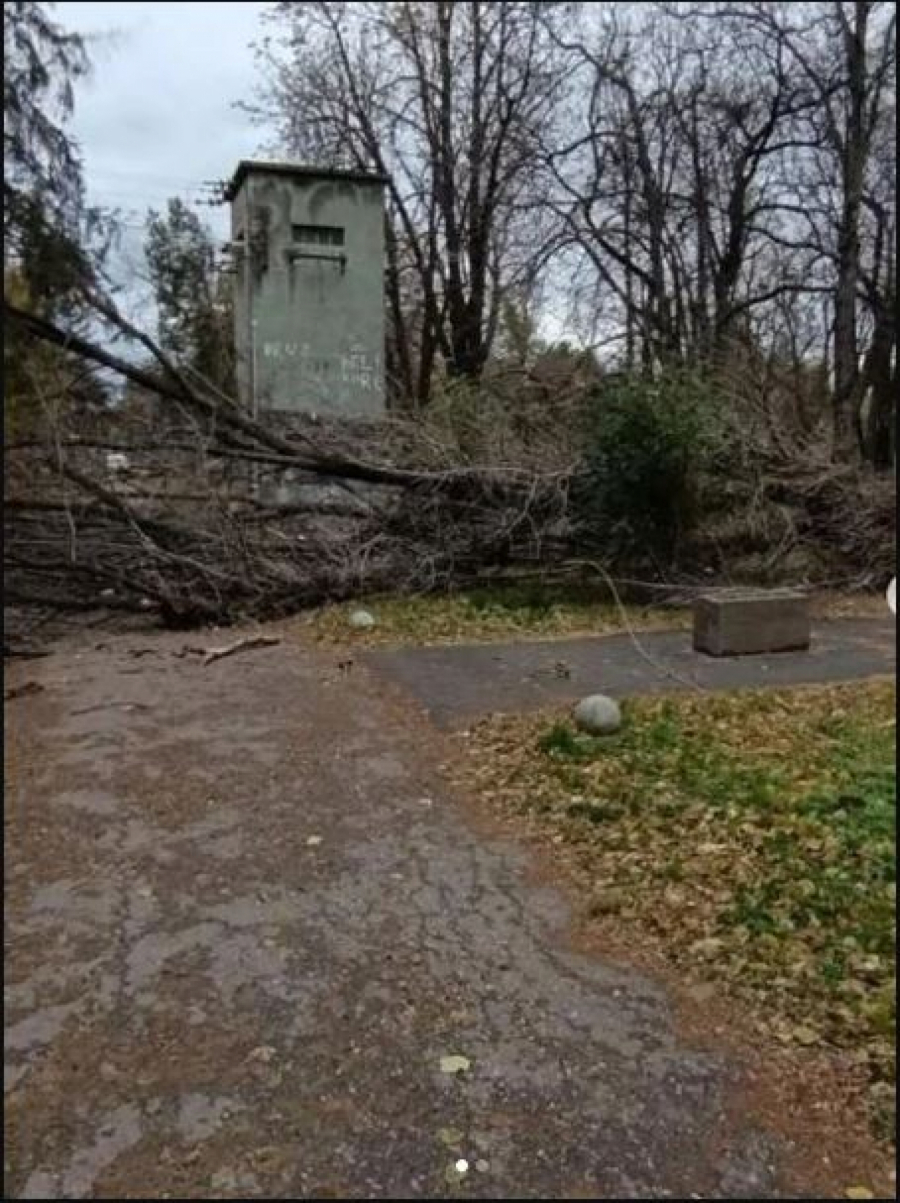 Nevreme u Jaše Tomića