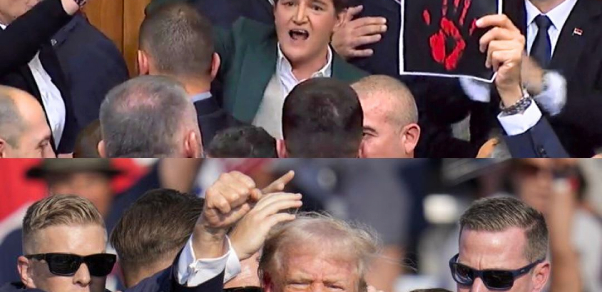 Ana Brnabić i Donald Tramp