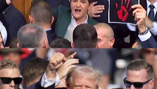 Ana Brnabić i Donald Tramp