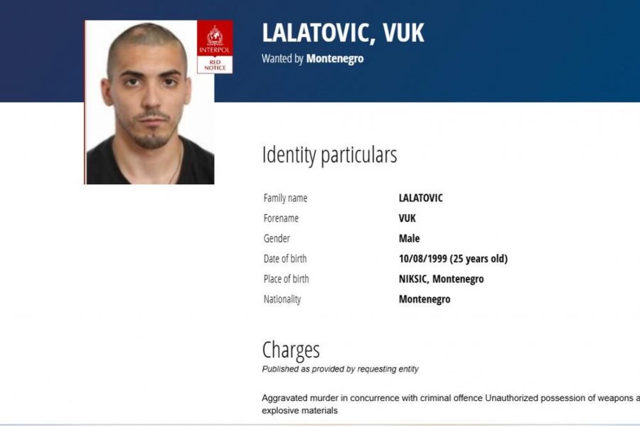 vuk lalatović