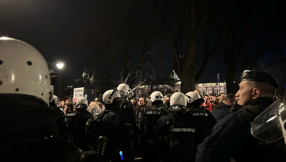 PRIVEDEN MLADIĆ (20) KOJI JE PIJAN VREĐAO STUDENTE I POLICIJU U PIONIRSKOM PARKU!