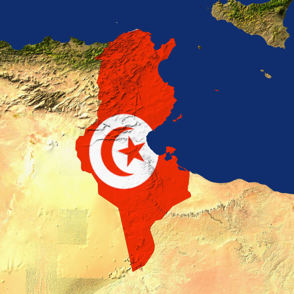 Тунис флаг и герб