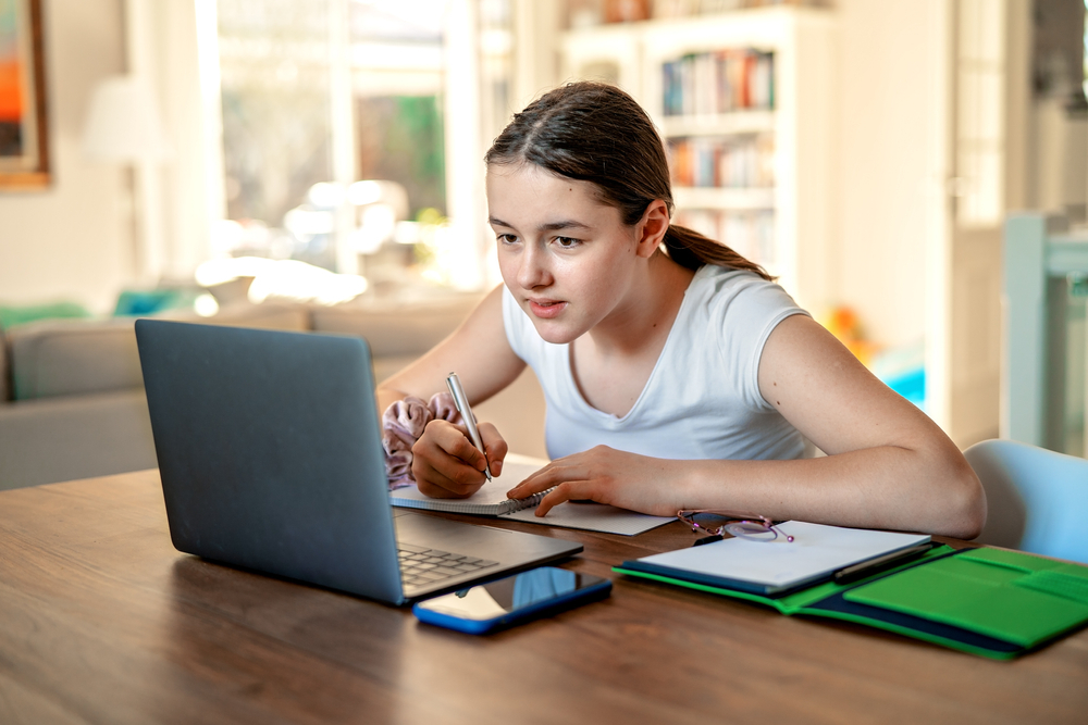 Učenica, učenik. škola, onlajn, online čas, laptop