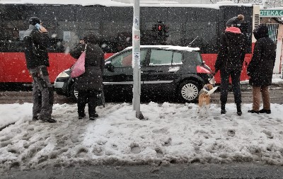 BIĆE KIŠE, SUSNEŽICE I 30 CM SNEGA Temperatura pada na -14, Srbiji ponovo preti nevreme!