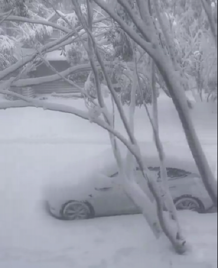 ŽENA KOJA JE NESTALA PRE DVA DANA KOD KRALJEVA PRONAĐENA MRTVA U SNEGU Staricu su jedva našli, bila je blizu kuće