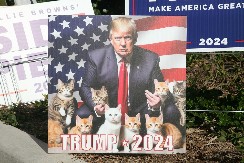 TRAMP ĆE SVE UPROPASTITI Stižu upozorenja iz Nemačke