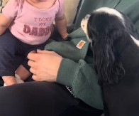 BEBA POSTALA POPULARNA PREKO NOĆI Njen neodoljiv smeh koji izaziva pas raznežio je 6 miliona ljudi!