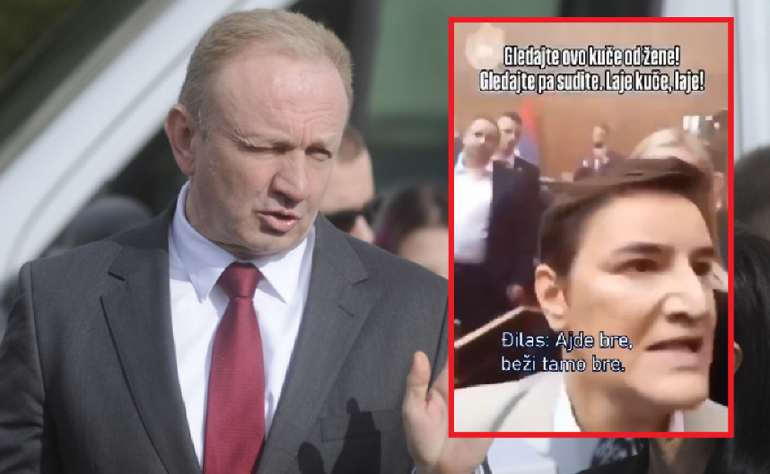 ĐILAS GNUSNO VREĐA ŽENU U DANU KAD SU 3 POSLALI U BOLNICU Anu Brnabić nazvao KUČETOM! (VIDEO)