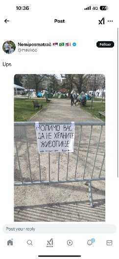FAŠIZAM LAŽNE ELITE! Ljude nazvali životinjama! Sramna poruka u Pionirskom parku gde su studenti koji žele da uče (FOTO)