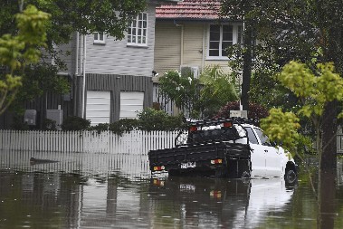 VETAR ČUPA STABLA IZ KORENA, KATAKLIZMA U AUSTRALIJI: Jedna osoba poginula, ciklon ostavio na stotine hiljada ljudi bez struje (FOTO)