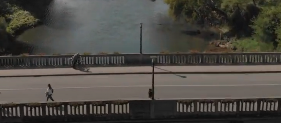 DRAMATIČNA SCENA NA GRADSKOM MOSTU: Muškarac preti da skoči u reku Vrbas! Građani krenuli da ga odgovaraju, on se opire...