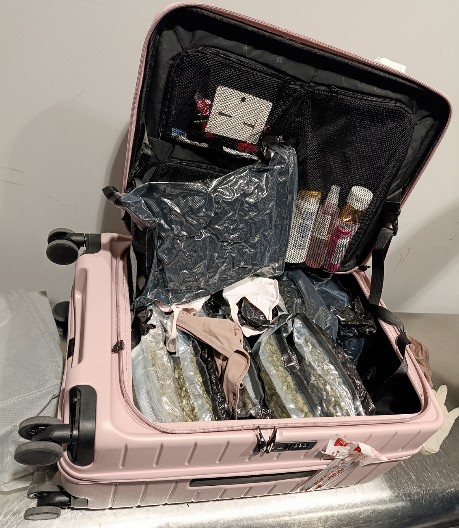 PUTNICA ZA DLAKU POBEGLA, CARINICI JE UHVATILI PRE POLETANJA AVIONA SA 26,5 KILA DROGE Otvorili njene kofere i zapanjili se!