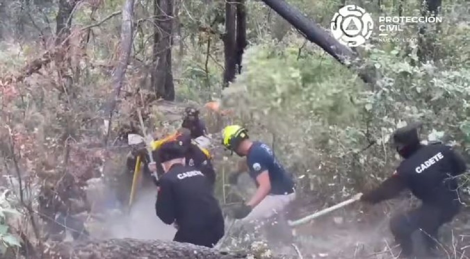 HOROR U MEKSIKU Poginulo 12 osoba kad je kombi skliznuo sa puta, nesreća izazvala ŠUMSKI POŽAR (FOTO/VIDEO)
