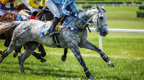 VIC DANA Muž čita novine. Odjednom, žena ga zvekne oklagijom...
