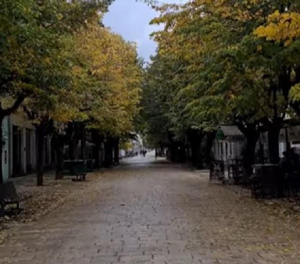 MOSTRUOZNO! Mladić silovao psa u parku u Cetinju: Mučnu scenu snimila prolaznica, pa snimak odnela u policiju!