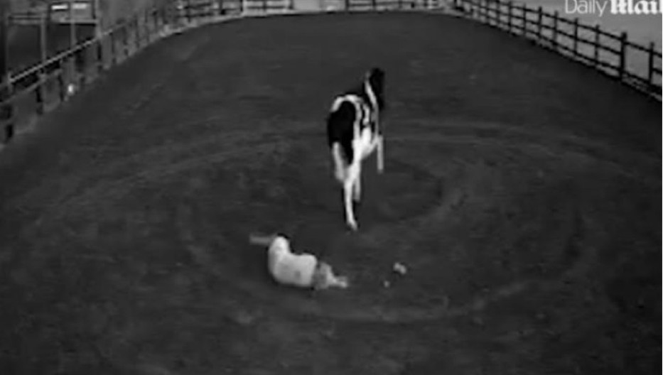 STRAVIČAN SNIMAK! Krava je GAZILA devojku, uništila joj i lice, a njena sudbina će vas zapanjiti! (VIDEO)