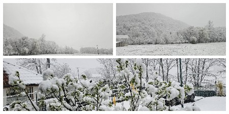 PAHULJE U APRILU PREKRILE OVO MESTO U SRBIJI Sneg ne prestaje da veje! (FOTO)