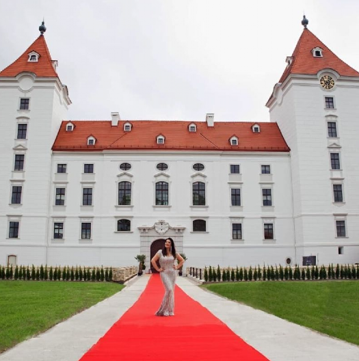DVORAC DRAGANE MIRKOVIĆ POSTAO FILMSKA SENZACIJA Evo šta se sada dešava sa luksuznom građevinom u Austriji!