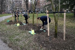 100 stabala za 100 godina Radio Beograda i parkove u kojima živi igra (FOTO)