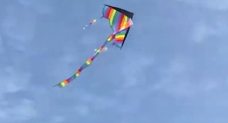 DEČAK PUŠTAO ZMAJA, U SLEDEĆOJ SEKUNDI JE USLEDIO HOROR Spasioci se sledili od šoka, ono što su videli će pamtiti do kraja života! (VIDEO)