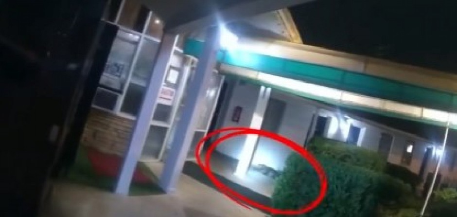 ČUDOVIŠTE ZALUTALO, PA ZAVRŠILO ISPRED HOTELA Gosti izleteli napolje vrišteći, snimak stvorenja kruži mrežama! (VIDEO)