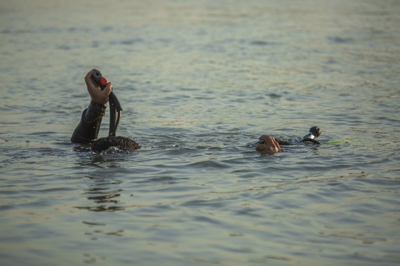 HOROR U BAČKOJ PALANCI! Telo muškarca pronađeno u jezeru Tikvara