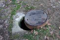 VIC DANA Idu dve babe ulicom i upadnu u rupu...