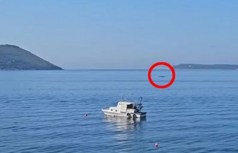 MISTERIOZNI GOST U CRNOGORSKIM VODAMA Stručnjaci upozoravaju, a prizor ostavlja bez daha