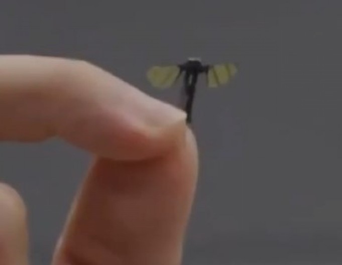 NEVEROVATNO Kinezi napravili dron veličine komarca