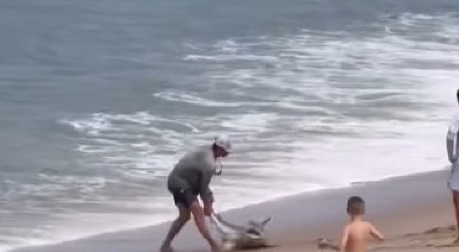 KRVAVI NAPAD NA PLAŽI Zver ščepala ribara za nogu i ugrizla ga, vrisci odjekivali obalom! (VIDEO)
