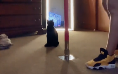 MAČKA POSTALA STRIPTIZETA Videla vlasnicu pa i ona zaigrala prljavi ples, ovo još niste videli!