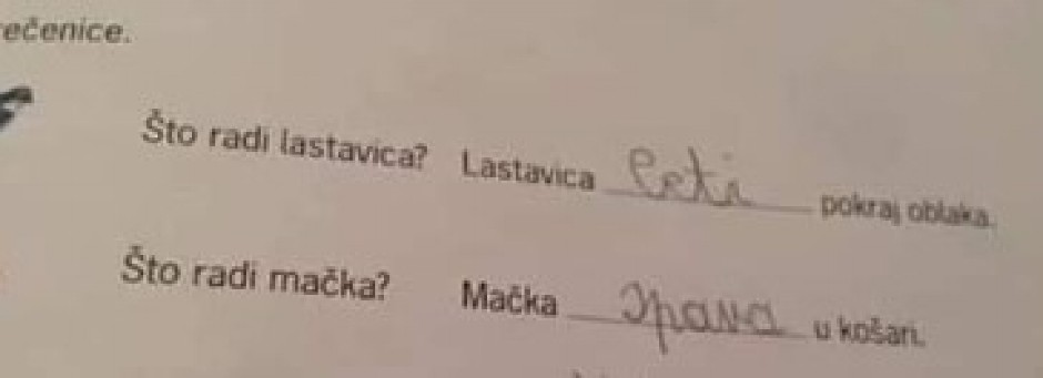 MALIŠAN POSTAO HIT NA INTERNETU Njegov odgovor iz domaćeg zadatka NASMEJAO CELU SRBIJU! (FOTO)