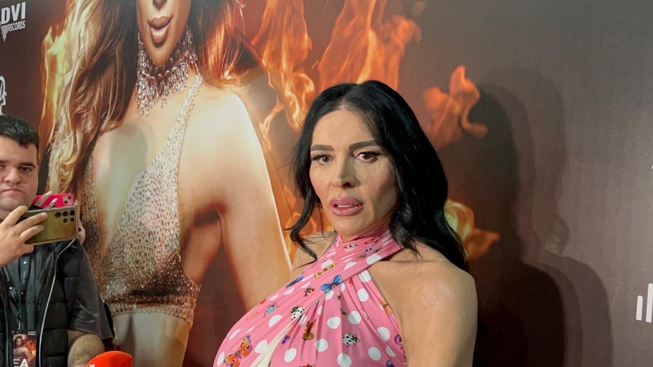 OVO JE RAZLOG HAPŠENJA ELEKTRE ELIT U sve umešana albanska mafija!