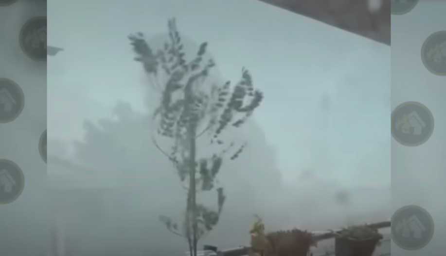 ORKANSKA OLUJA OPUSTOŠILA POŽAREVAC: Uništeni automobili, drveće i krovovi