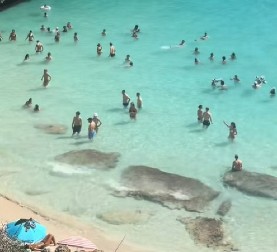 PRELEPA PLAŽA NA MAJORKI POSTALA JE PRETRPANA I ZAGAĐENA Lokalci se bune, ali turisti ne odustaju
