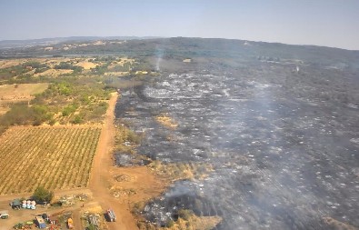 VIŠE OD 100 HEKTARA BILO JE ZAHVAĆENO VATROM KOD KLADOVA! Spaseno desetak kuća, ekipe i dalje gase