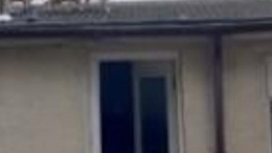 OTIŠLA DA PROVERI ŠTA TO LUPA PO KROVU Kada je pogledala gore, nije mogla da veruje šta vidi (VIDEO)