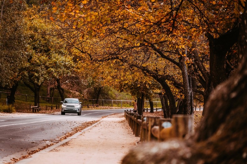 VOZAČI, PAZITE! Ovo u jesen je opasnije od leda i može da vas uništi