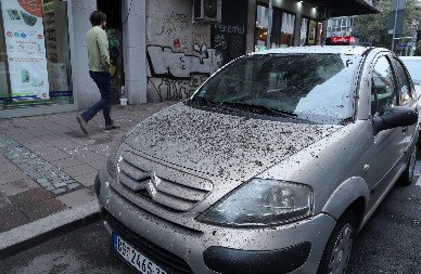 SKLAPAO BOMBU I POGINUO Kačio eksploziv C4 za plinsku bocu?