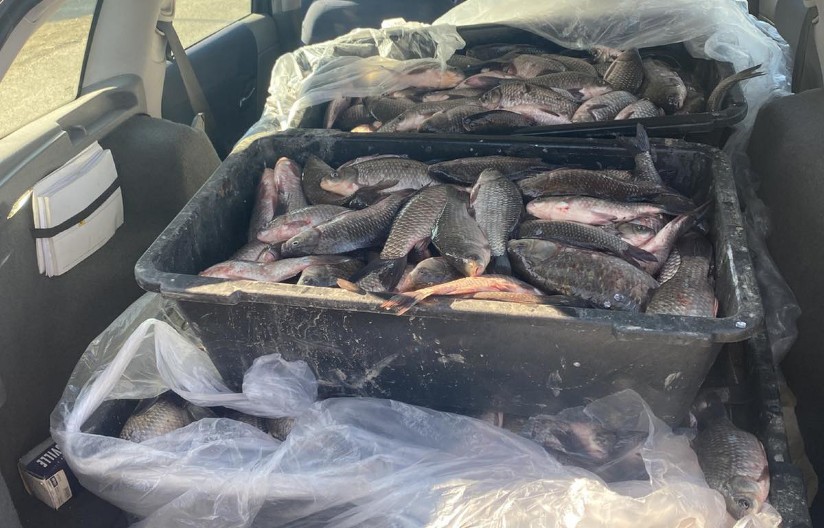 DOLIJALE RIBOKRADICE Osumnjičeni su za nezakonit ribolov, pali su na delu