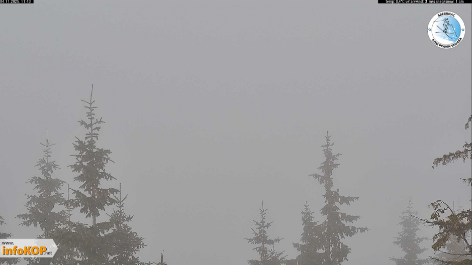 U OVOM DELU SRBIJE PAO SNEG, U 11 SATI IZMERENO 0 STEPENI! Evo u kojim gradovima je najtoplije (FOTO)