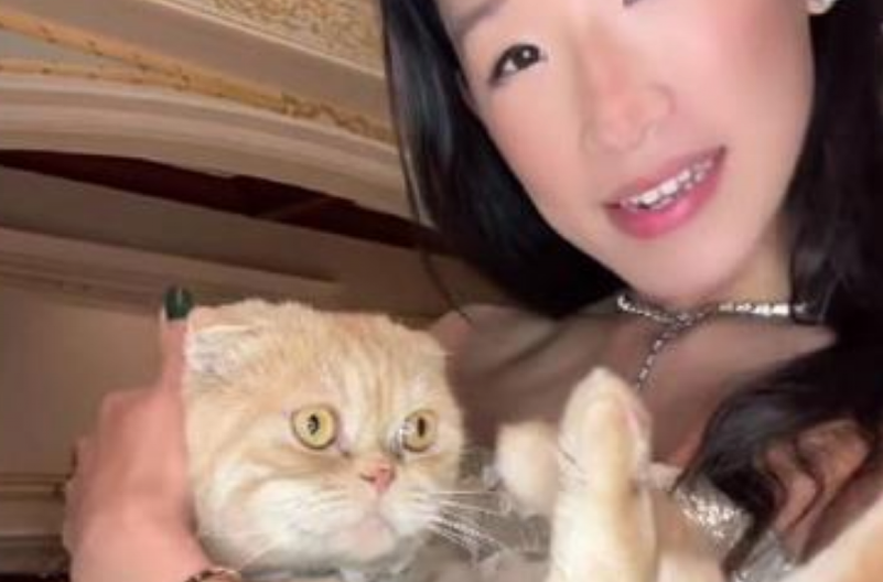 MAJKO MILA, DA LI JE OVO REALNO? Pogledajte šta je influenserka uradila mačku zbog lošeg ponašanja - ljudi na mrežama pobesneli! (VIDEO)