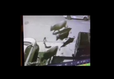 DRAMATIČAN SNIMAK IZ TIVTA: Policajac u poslednjem trenutku spasio dete od pomahnitale stoke (VIDEO)