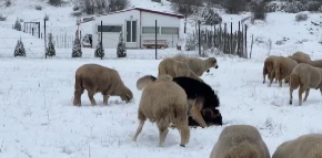 USKORO DVA NALETA SNEŽNIH PADAVINA Evo gde će da veje, stiže još jedna pojava zbog koje će biti LEDENO