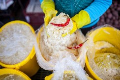 MNOGE DOMAĆICE PRAVE GREŠKU KAD KISELE KUPUS: Ako ovo stavljate u bure, gubi zdrava svojstva i postaje štetan za creva