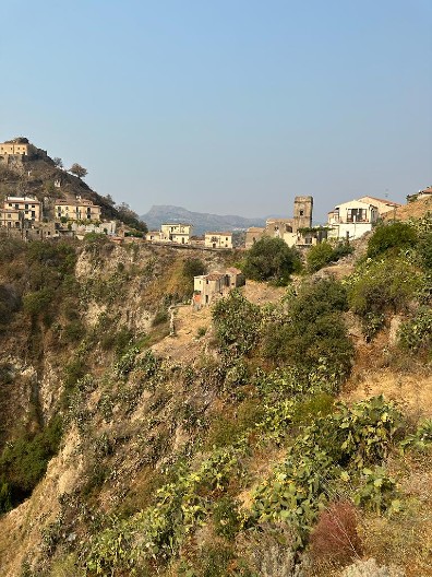 NA IMANJU BIZNISMENA NAĐENA KONJSKA GLAVA! Mafijaši kopirali taktiku zastrašivanja iz ''Kuma'', slučaj odmah prijavljen policiji