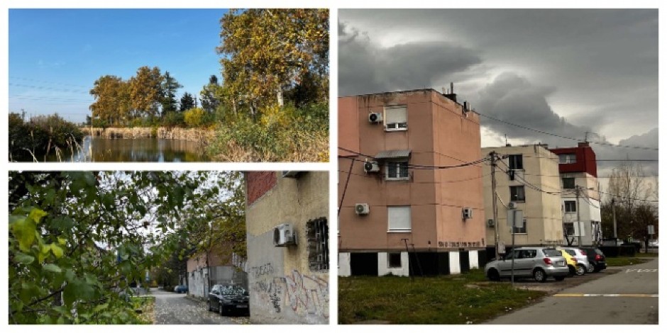 GOSPOĐA S MIRIJEVA UDARILA NA PADINSKU SKELU Od odgovora prvog komšije smeje se cela leva obala - POMENUO ŠVALERISANJE I LEK ZA NERVOZU