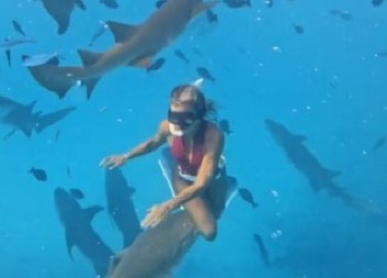 RONJENJE SE PRETVORILO U HOROR Ajkula razjapila čeljusti pa ugrizla influenserku za nogu, krvavi tragovi na sve strane! (VIDEO)